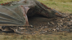 extant_GameOfThrones_5x10-MothersMercy_3882