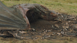 extant_GameOfThrones_5x10-MothersMercy_3884
