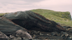 extant_GameOfThrones_5x10-MothersMercy_3995