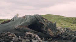 extant_GameOfThrones_5x10-MothersMercy_4003