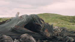 extant_GameOfThrones_5x10-MothersMercy_4011