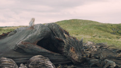 extant_GameOfThrones_5x10-MothersMercy_4012
