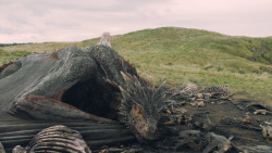 extant_GameOfThrones_5x10-MothersMercy_4015