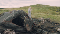 extant_GameOfThrones_5x10-MothersMercy_4017