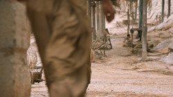 extant_GameOfThrones_6x01-TheRedWoman_3162