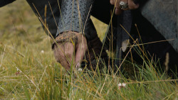 extant_GameOfThrones_6x01-TheRedWoman_3644