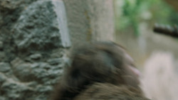 extant_GameOfThrones_6x01-TheRedWoman_4482