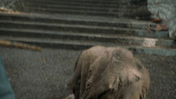 extant_GameOfThrones_6x01-TheRedWoman_4537