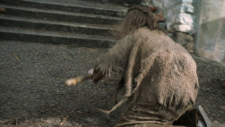 extant_GameOfThrones_6x01-TheRedWoman_4538