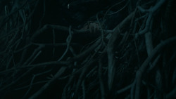 extant_GameOfThrones_6x02-Home_0022