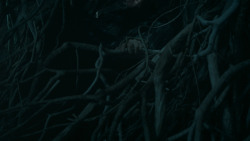 extant_GameOfThrones_6x02-Home_0023