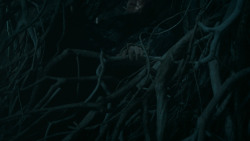 extant_GameOfThrones_6x02-Home_0024