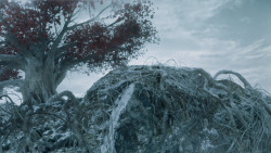 extant_GameOfThrones_6x02-Home_0419