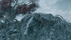 extant_GameOfThrones_6x02-Home_0421