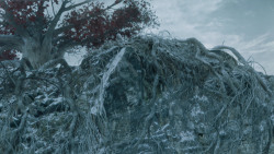 extant_GameOfThrones_6x02-Home_0422