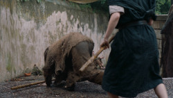 extant_GameOfThrones_6x02-Home_2815