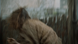 extant_GameOfThrones_6x02-Home_2829