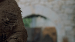 extant_GameOfThrones_6x02-Home_2968