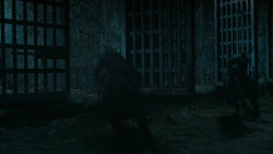 extant_GameOfThrones_6x02-Home_3674