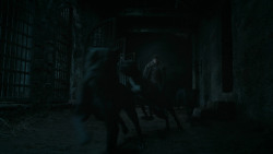 extant_GameOfThrones_6x02-Home_3677