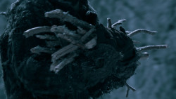 extant_GameOfThrones_6x02-Home_3697