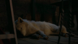 extant_GameOfThrones_6x02-Home_5425
