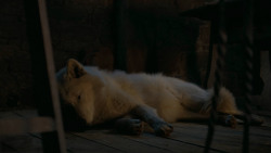 extant_GameOfThrones_6x02-Home_5428