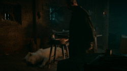 extant_GameOfThrones_6x02-Home_5486