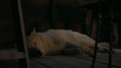 extant_GameOfThrones_6x02-Home_5510