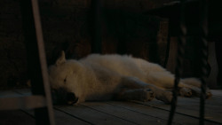extant_GameOfThrones_6x02-Home_5511