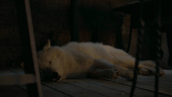 extant_GameOfThrones_6x02-Home_5513