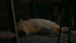 extant_GameOfThrones_6x02-Home_5517