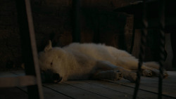 extant_GameOfThrones_6x02-Home_5518