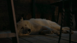 extant_GameOfThrones_6x02-Home_5523