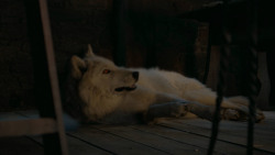 extant_GameOfThrones_6x02-Home_5524