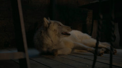 extant_GameOfThrones_6x02-Home_5525