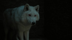 extant_GameOfThrones_6x03-Oathbreaker_0066