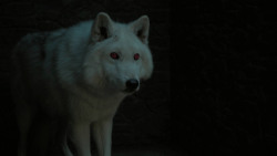 extant_GameOfThrones_6x03-Oathbreaker_0067