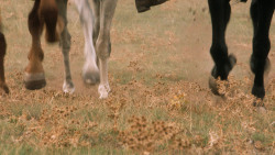 extant_GameOfThrones_6x03-Oathbreaker_1099