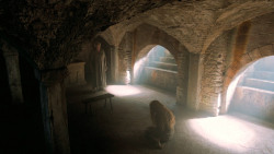 extant_GameOfThrones_6x04-BookOfTheStranger_2956