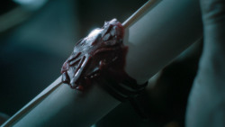 extant_GameOfThrones_6x04-BookOfTheStranger_5083
