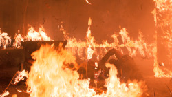 extant_GameOfThrones_6x04-BookOfTheStranger_5831