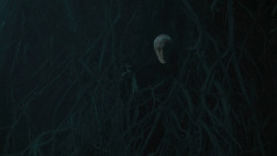 extant_GameOfThrones_6x05-TheDoor_1750