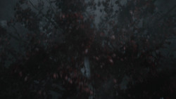 extant_GameOfThrones_6x05-TheDoor_5159