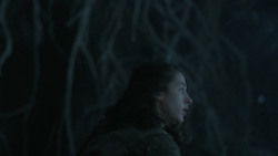 extant_GameOfThrones_6x05-TheDoor_5401