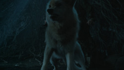 extant_GameOfThrones_6x05-TheDoor_5405