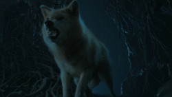 extant_GameOfThrones_6x05-TheDoor_5419