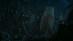 extant_GameOfThrones_6x05-TheDoor_5421
