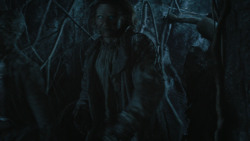 extant_GameOfThrones_6x05-TheDoor_5442