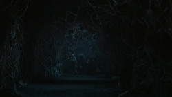 extant_GameOfThrones_6x05-TheDoor_5525
